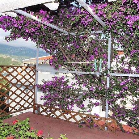 Apartment Sandra بودفا الغرفة الصورة