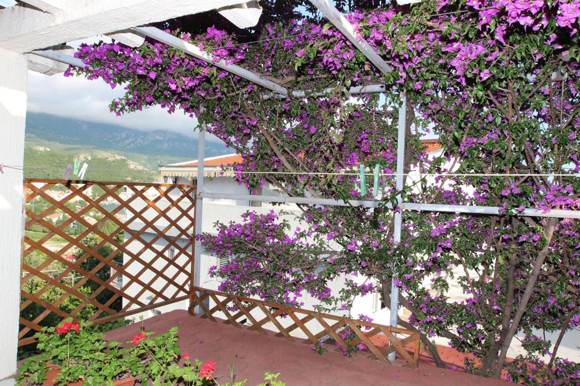 Apartment Sandra بودفا الغرفة الصورة