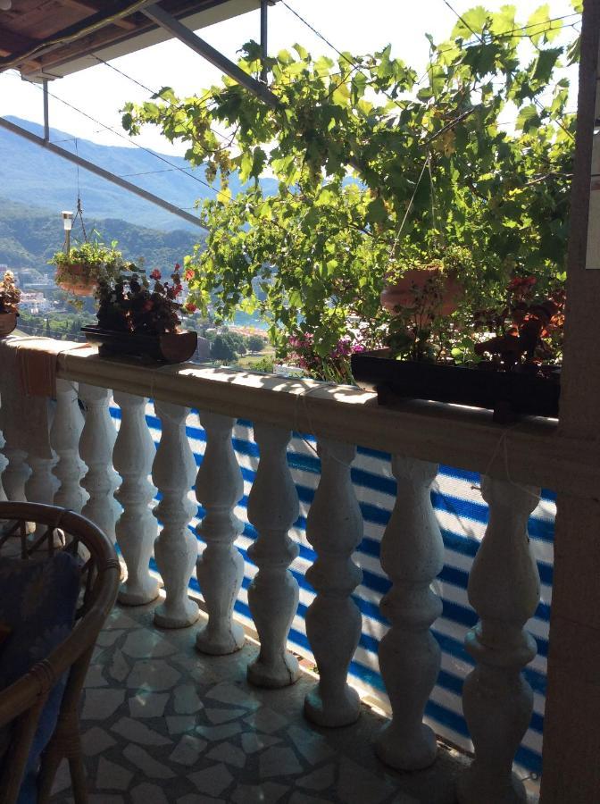 Apartment Sandra بودفا المظهر الخارجي الصورة